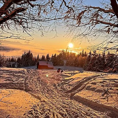 W Gorach- Bacowka U Dudka Chalet *