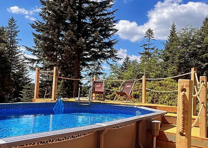 شاليه W Gorach- Bacowka U Dudka *