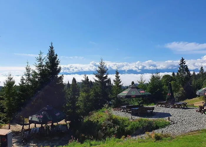 شاليه W Gorach- Bacowka U Dudka