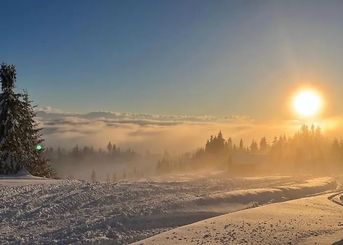 W Gorach- Bacowka U Dudka نوفه تارخ