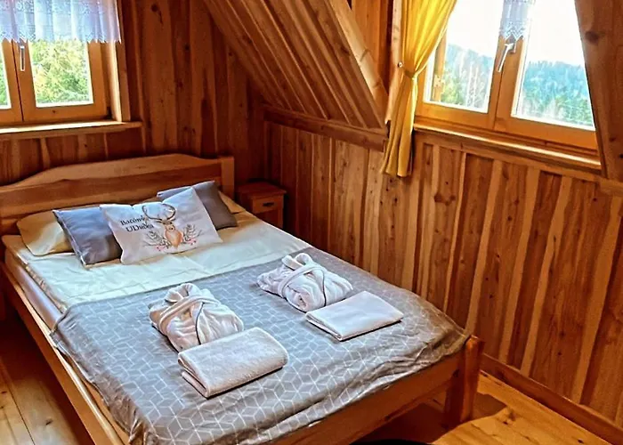 شاليه W Gorach- Bacowka U Dudka *